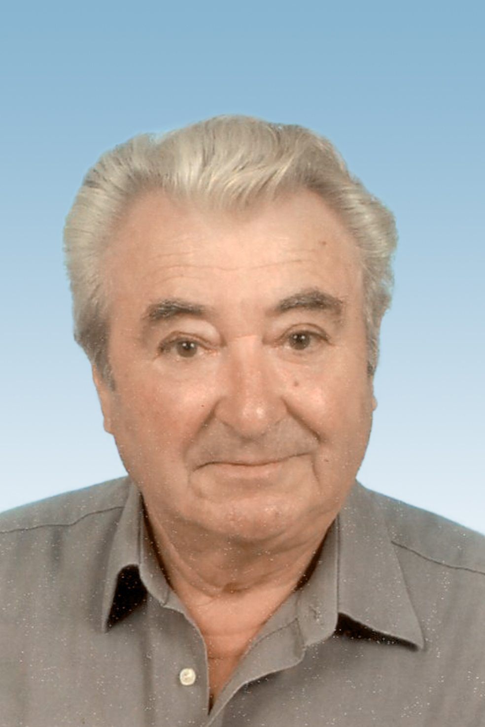 Dal Monte Silvano