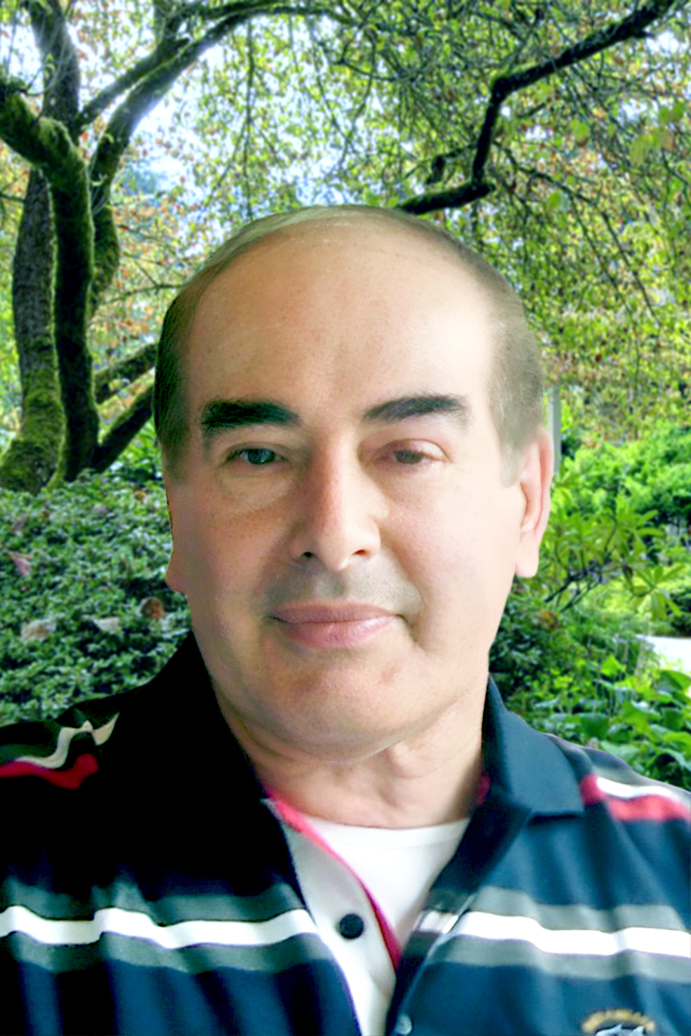 Marin Carlo