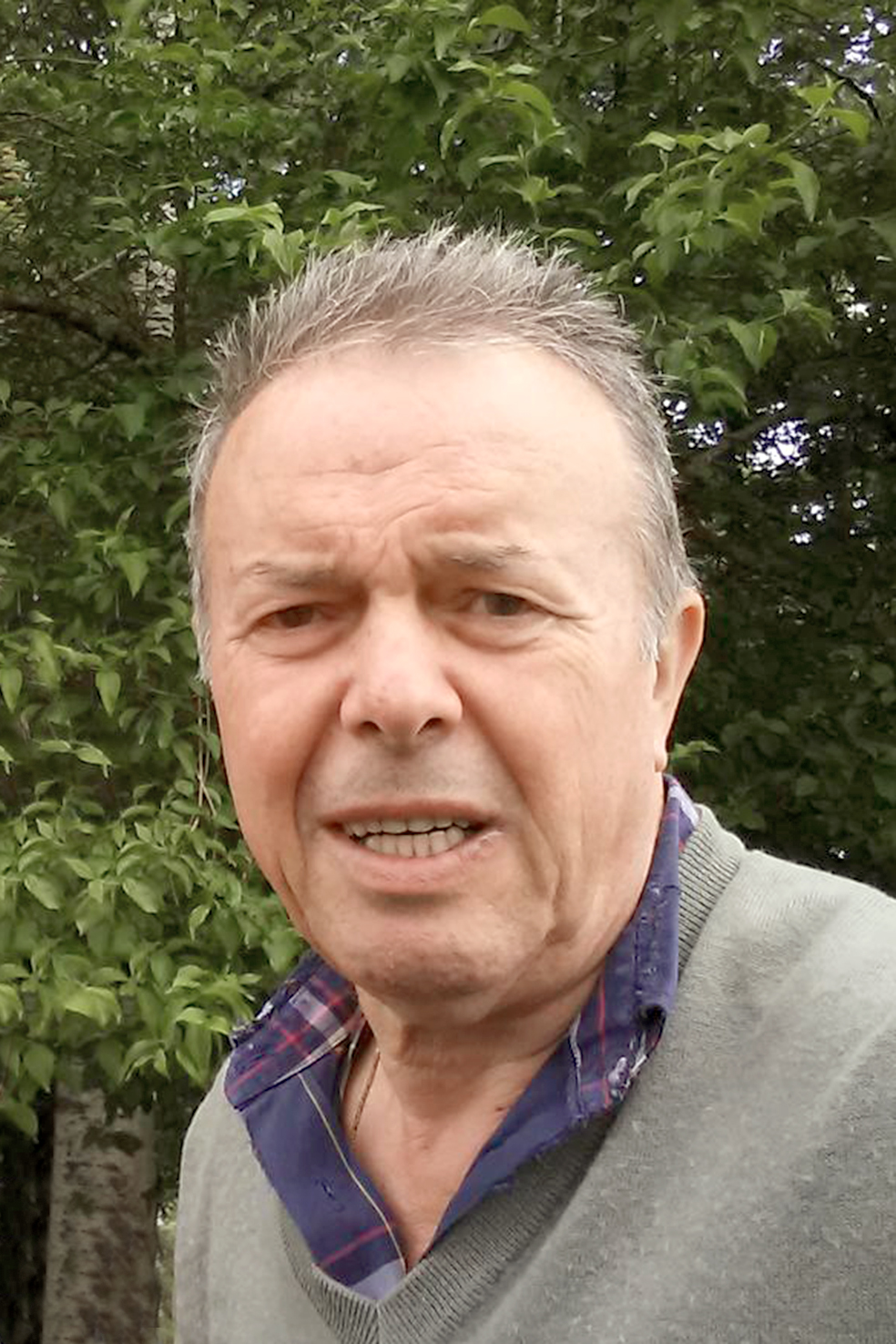 Dissegna Bruno Vincenzo